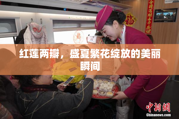 红莲两瓣，盛夏繁花绽放的美丽瞬间