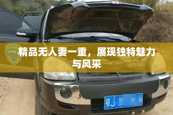 精品无人妻一重，展现独特魅力与风采