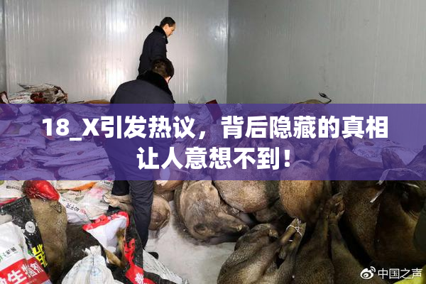 18_X引发热议，背后隐藏的真相让人意想不到！