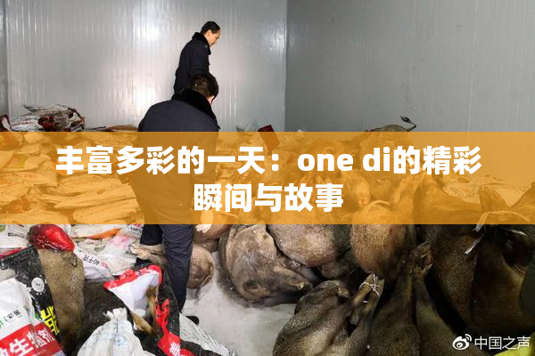 丰富多彩的一天：one di的精彩瞬间与故事