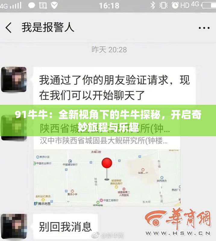 91牛牛：全新视角下的牛牛探秘，开启奇妙旅程与乐趣
