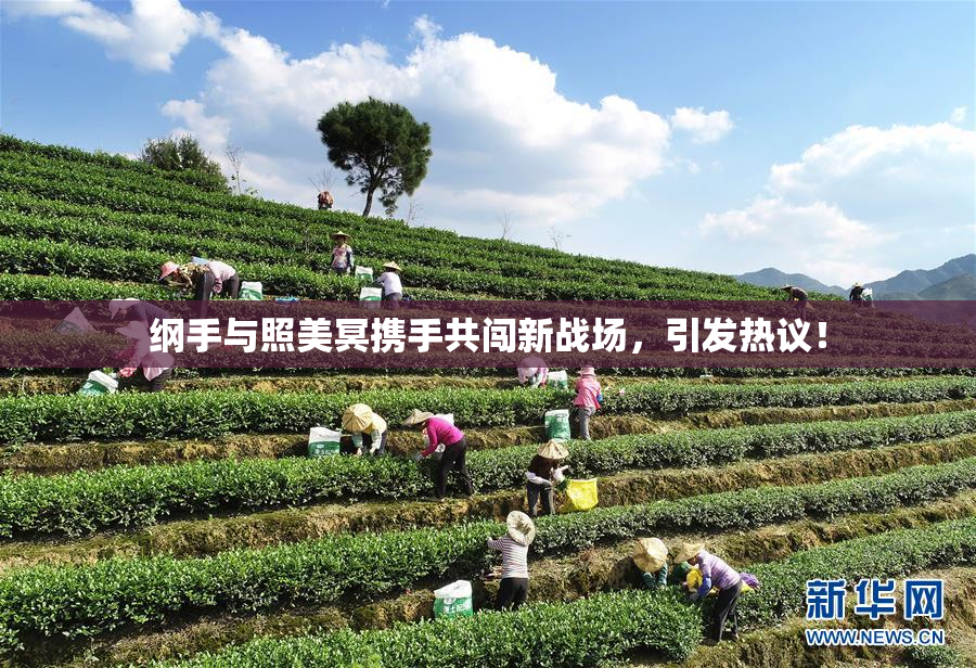 纲手与照美冥携手共闯新战场，引发热议！