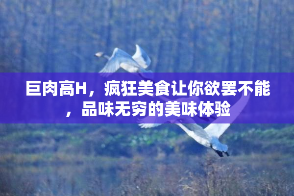 巨肉高H，疯狂美食让你欲罢不能，品味无穷的美味体验