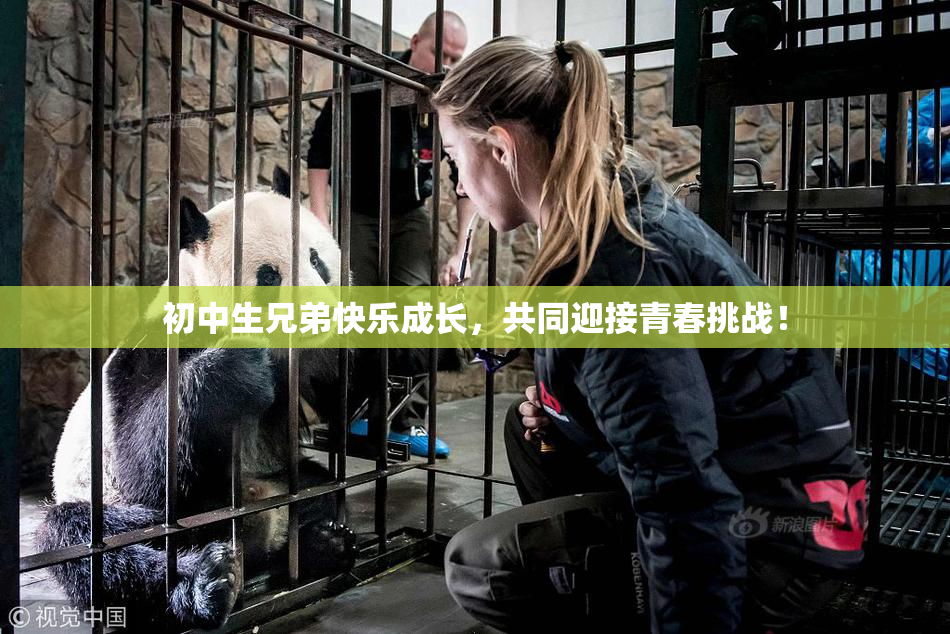 初中生兄弟快乐成长，共同迎接青春挑战！