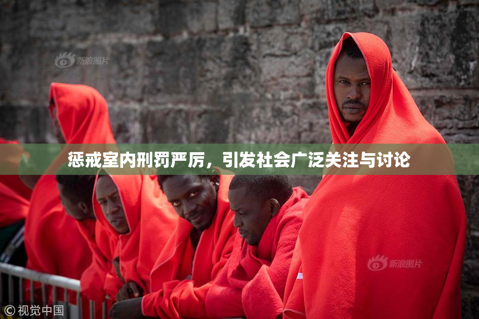 惩戒室内刑罚严厉，引发社会广泛关注与讨论