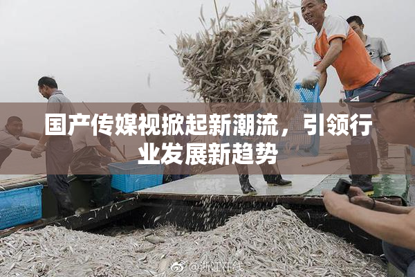 国产传媒视掀起新潮流，引领行业发展新趋势