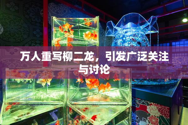 万人重写柳二龙，引发广泛关注与讨论