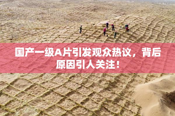 国产一级A片引发观众热议，背后原因引人关注！