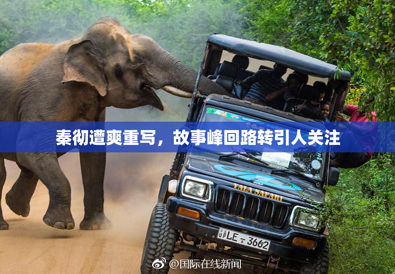 秦彻遭爽重写，故事峰回路转引人关注