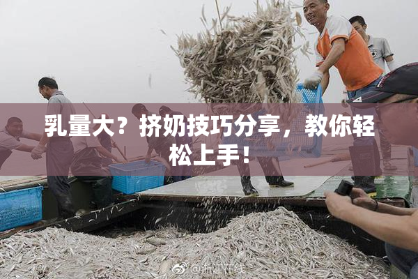 乳量大？挤奶技巧分享，教你轻松上手！