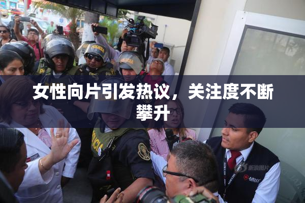 女性向片引发热议，关注度不断攀升