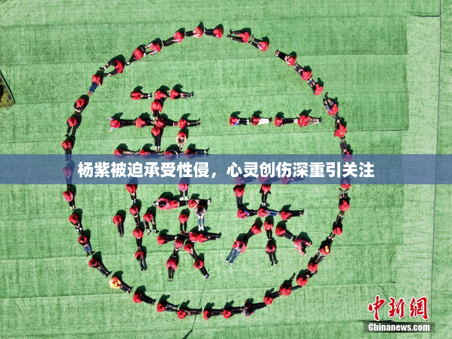 杨紫被迫承受性侵，心灵创伤深重引关注