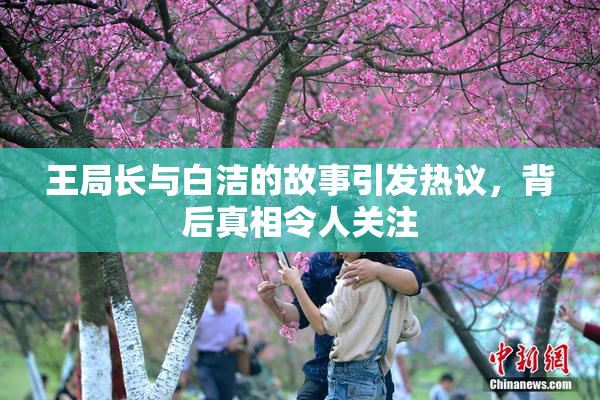 王局长与白洁的故事引发热议，背后真相令人关注