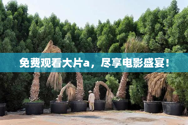 免费观看大片a，尽享电影盛宴！