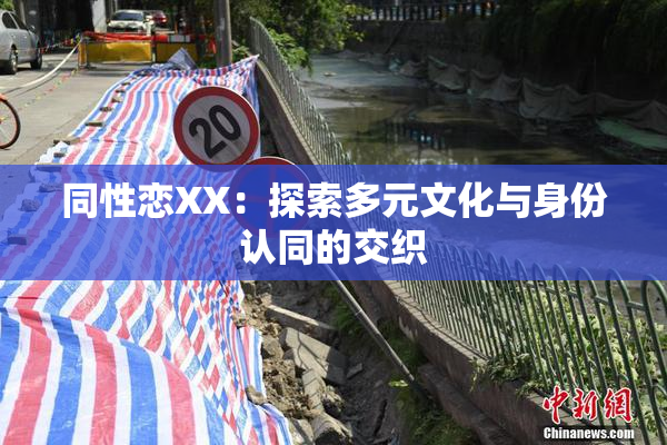 同性恋XX：探索多元文化与身份认同的交织