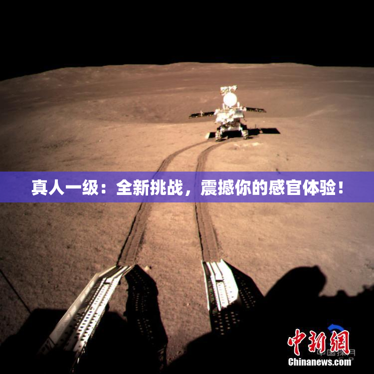 真人一级：全新挑战，震撼你的感官体验！