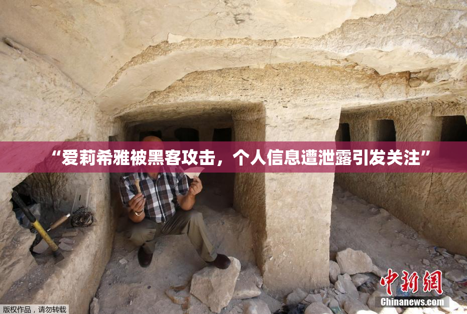 “爱莉希雅被黑客攻击，个人信息遭泄露引发关注”