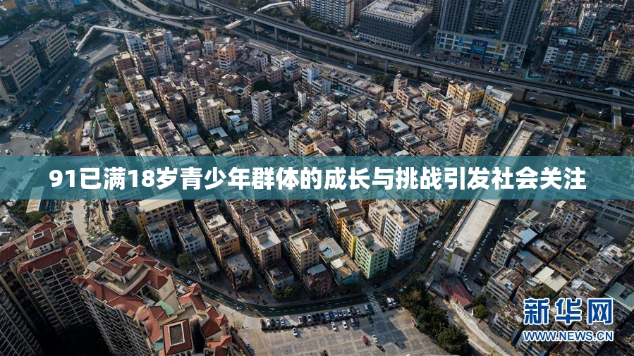 91已满18岁青少年群体的成长与挑战引发社会关注