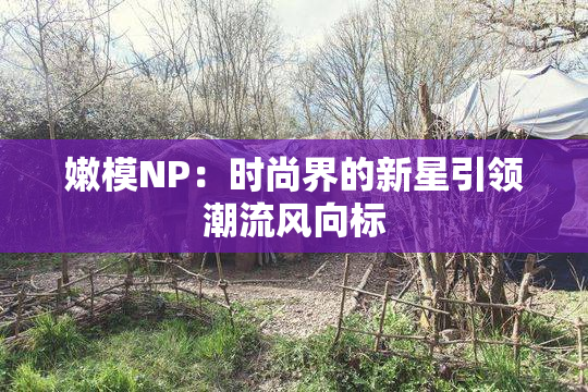 嫩模NP：时尚界的新星引领潮流风向标