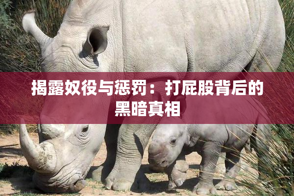 揭露奴役与惩罚：打屁股背后的黑暗真相