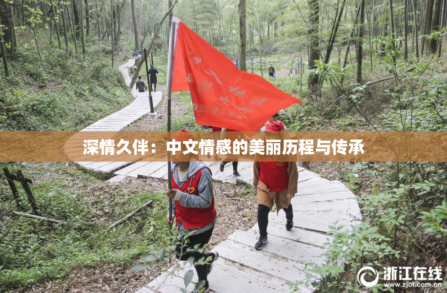 深情久伴：中文情感的美丽历程与传承