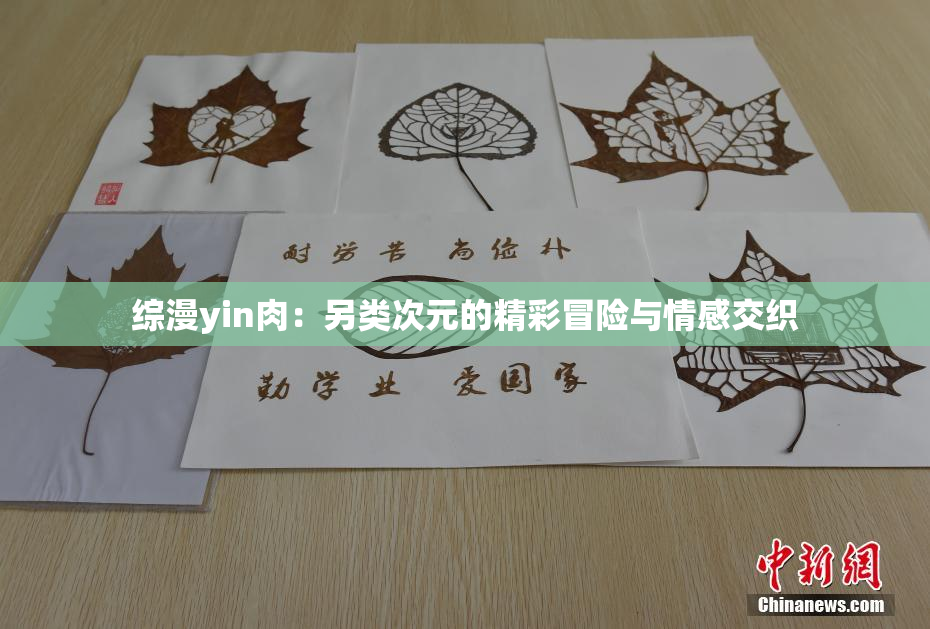 综漫yin肉：另类次元的精彩冒险与情感交织