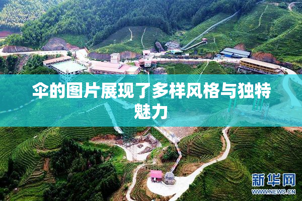 伞的图片展现了多样风格与独特魅力