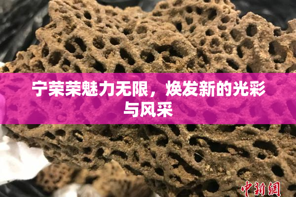 宁荣荣魅力无限，焕发新的光彩与风采