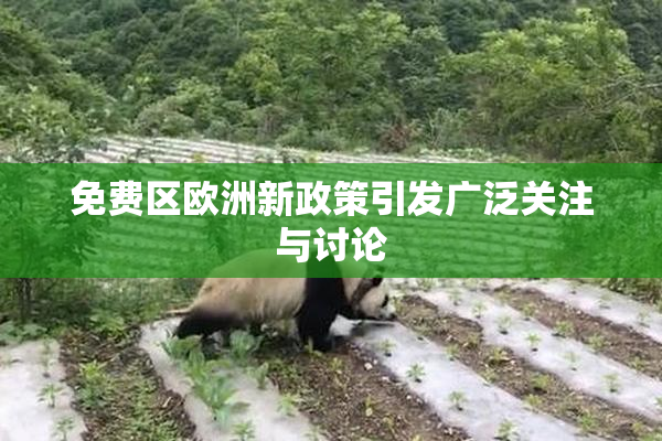 免费区欧洲新政策引发广泛关注与讨论