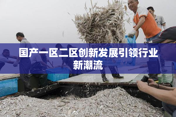 国产一区二区创新发展引领行业新潮流