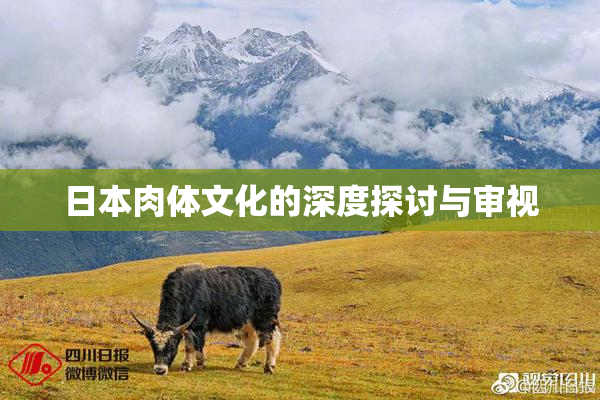 日本肉体文化的深度探讨与审视