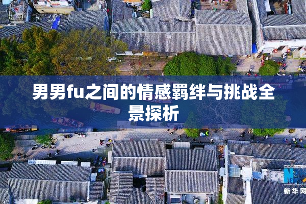 男男fu之间的情感羁绊与挑战全景探析