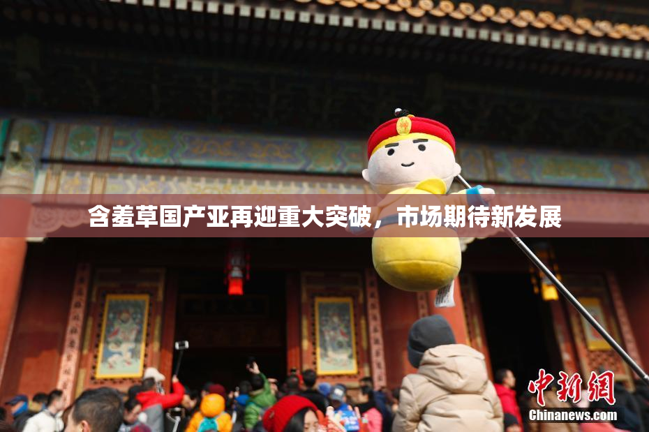 含羞草国产亚再迎重大突破，市场期待新发展