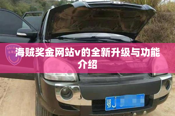 海贼奖金网站v的全新升级与功能介绍