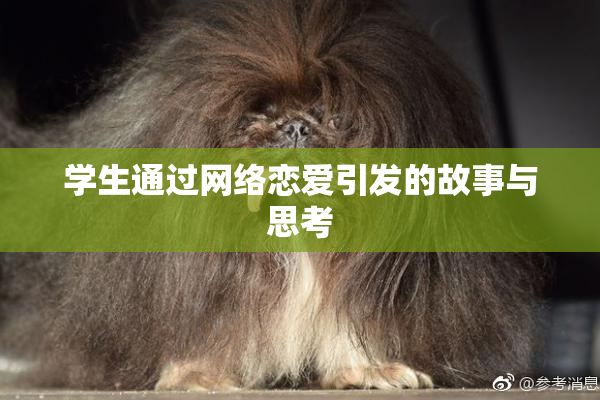 学生通过网络恋爱引发的故事与思考