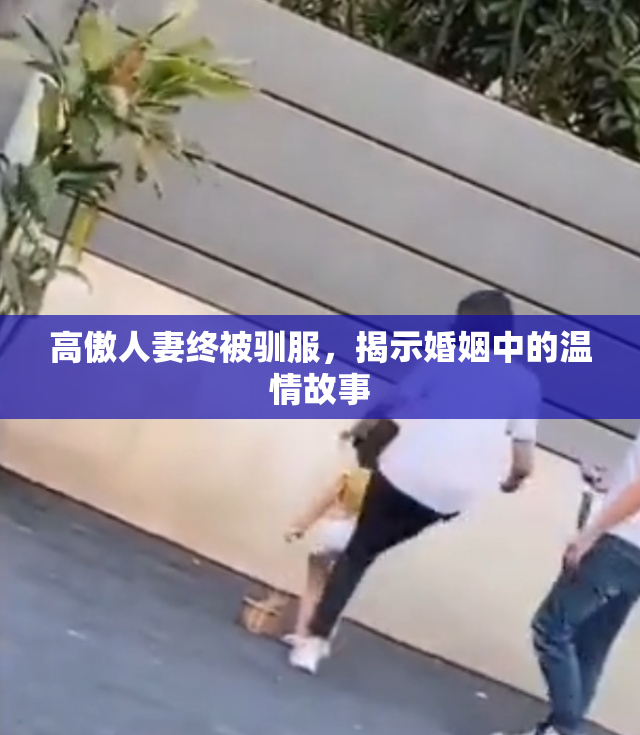 高傲人妻终被驯服，揭示婚姻中的温情故事