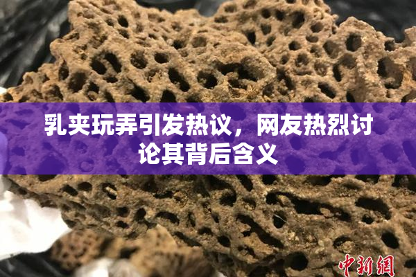 乳夹玩弄引发热议，网友热烈讨论其背后含义