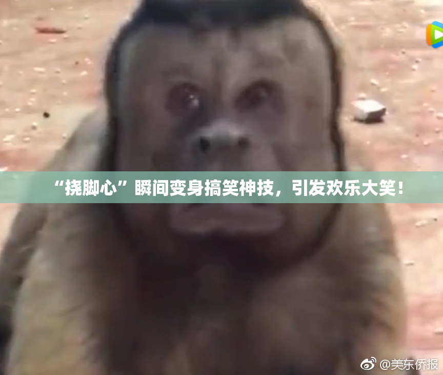 “挠脚心”瞬间变身搞笑神技，引发欢乐大笑！
