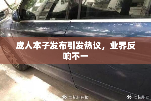 成人本子发布引发热议，业界反响不一