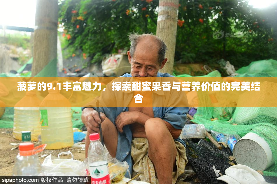 菠萝的9.1丰富魅力，探索甜蜜果香与营养价值的完美结合