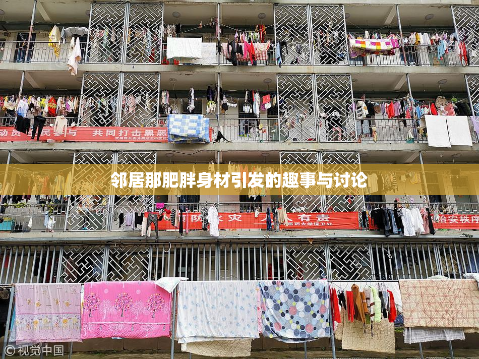邻居那肥胖身材引发的趣事与讨论