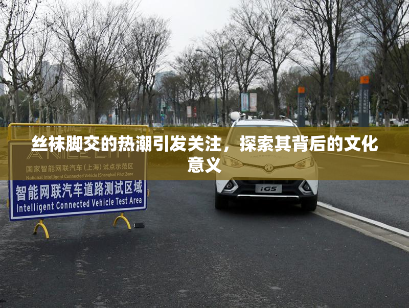 丝袜脚交的热潮引发关注，探索其背后的文化意义