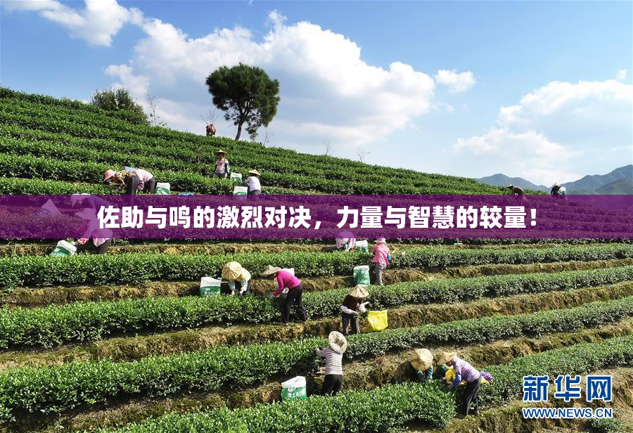 佐助与鸣的激烈对决，力量与智慧的较量！