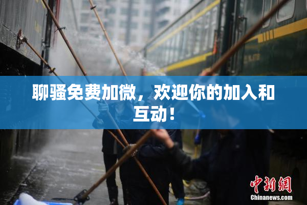 聊骚免费加微，欢迎你的加入和互动！