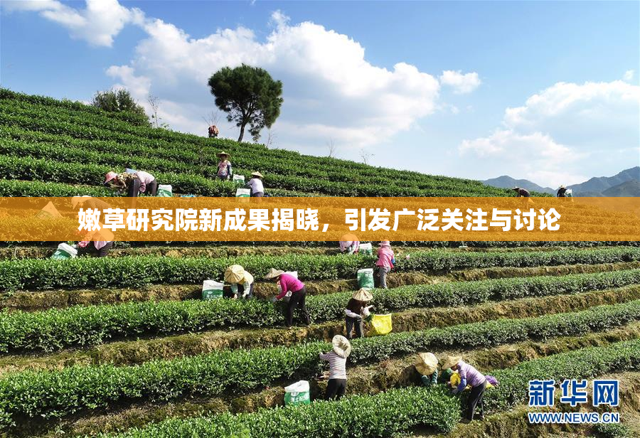 嫩草研究院新成果揭晓，引发广泛关注与讨论