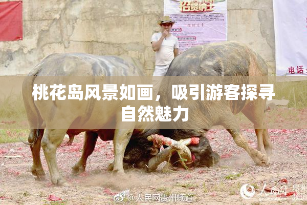 桃花岛风景如画，吸引游客探寻自然魅力
