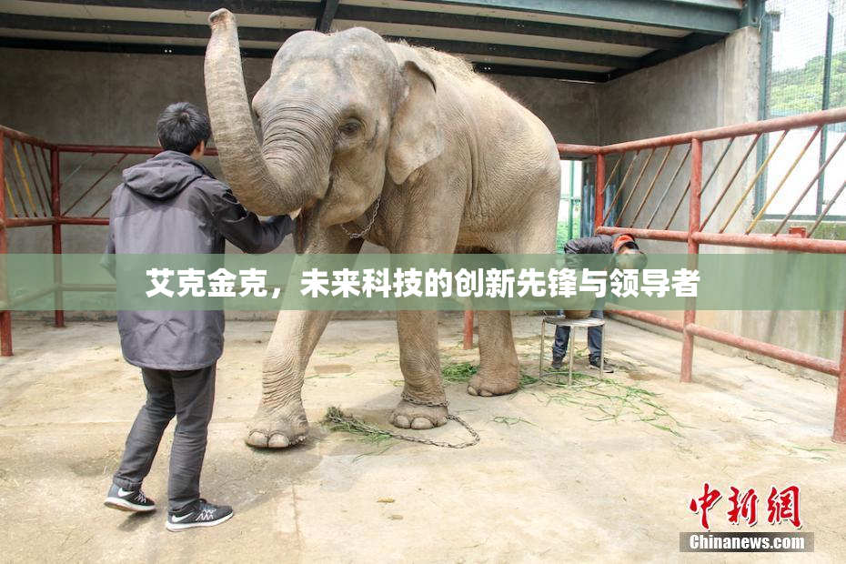 艾克金克，未来科技的创新先锋与领导者