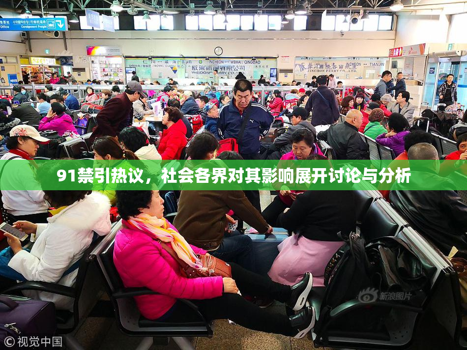 91禁引热议，社会各界对其影响展开讨论与分析