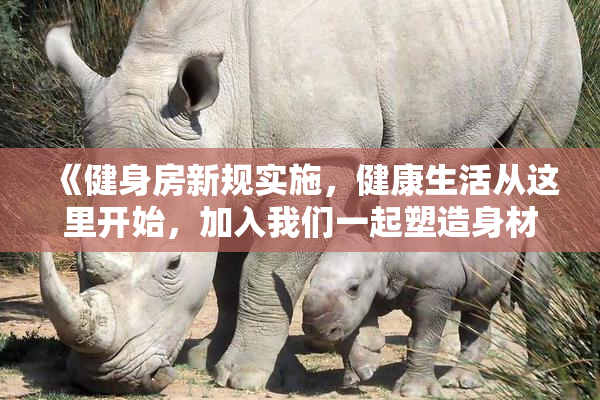 《健身房新规实施，健康生活从这里开始，加入我们一起塑造身材》