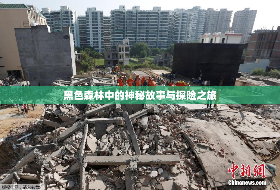 黑色森林中的神秘故事与探险之旅